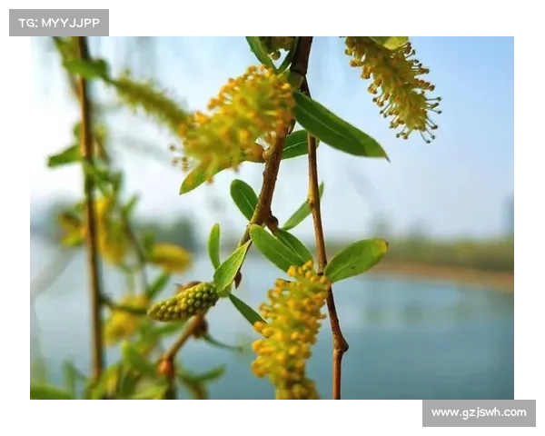《给生活加点泡芙花滤镜,甜度刚好》 《给生活加点泡芙花滤镜,甜度刚好》